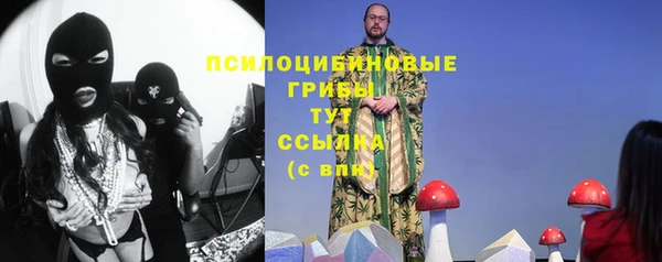 соль курить ск Алзамай