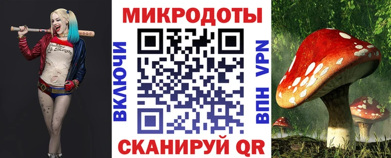 Галлюциногенные грибы Psilocybe  Волхов 